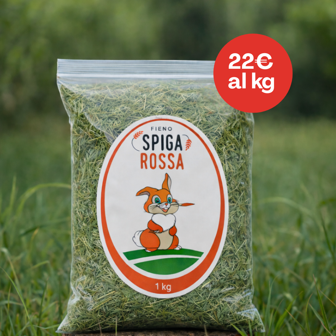 Fieno per conigli - 1 Kg