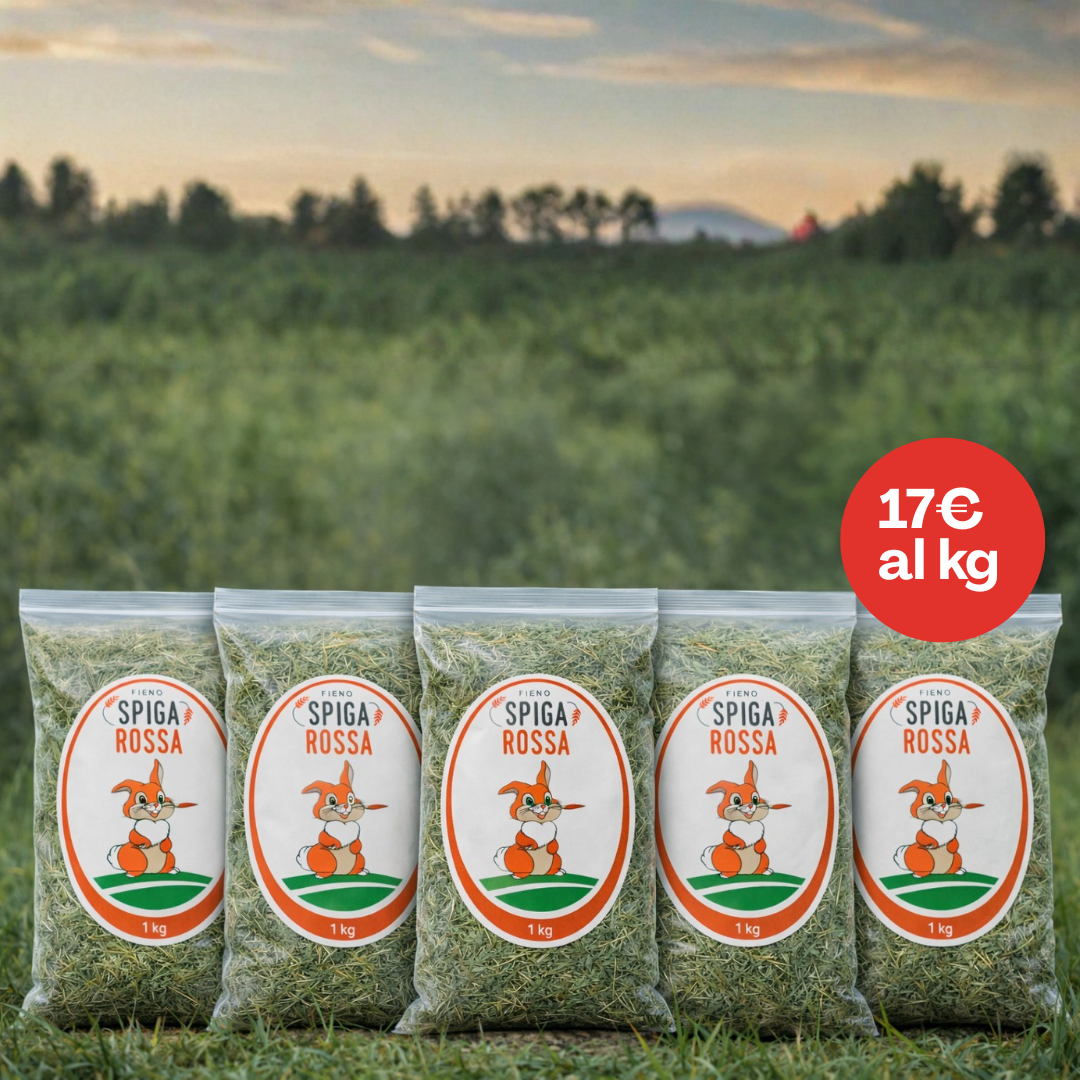 Fieno per conigli - 5 kg