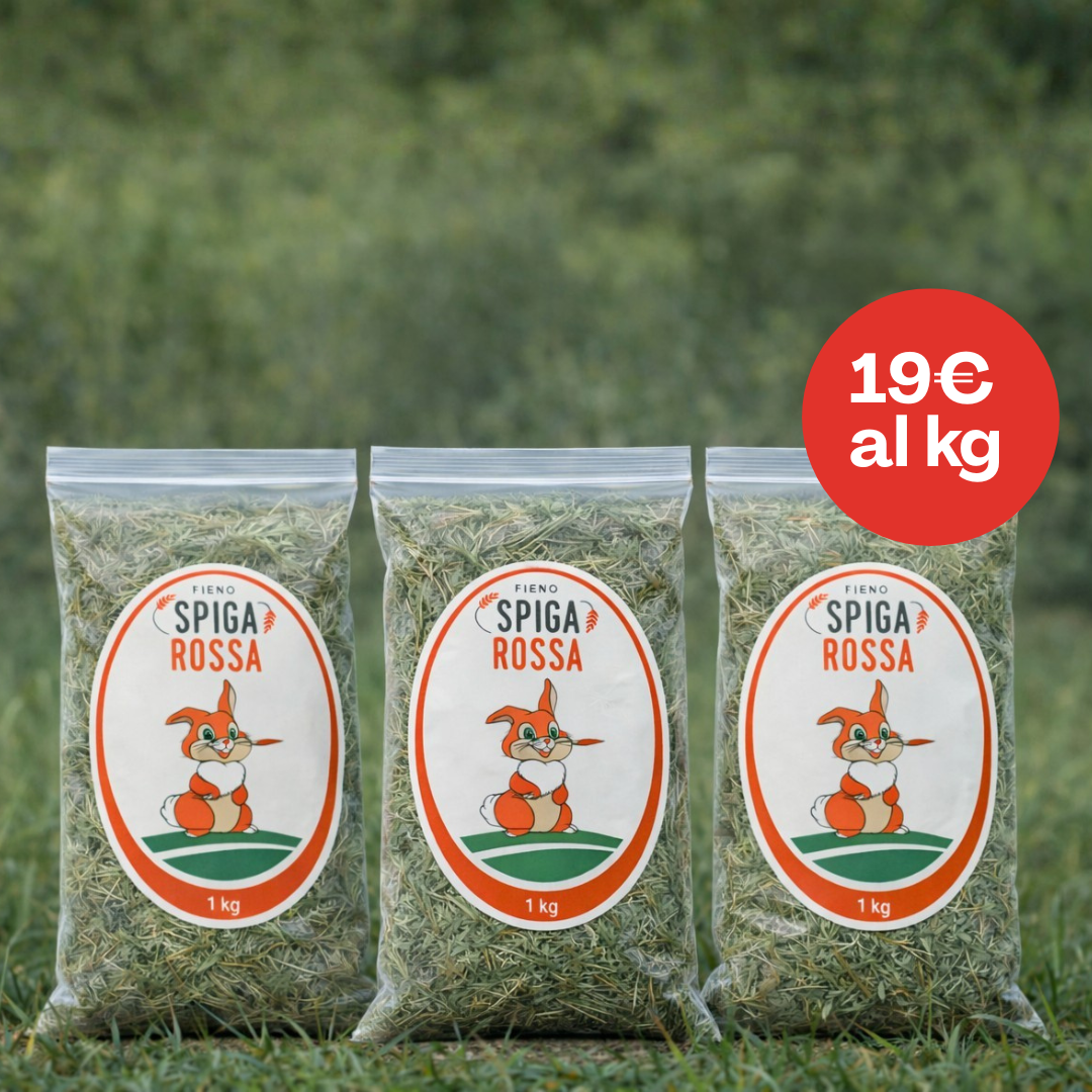 Fieno per conigli - 3 kg