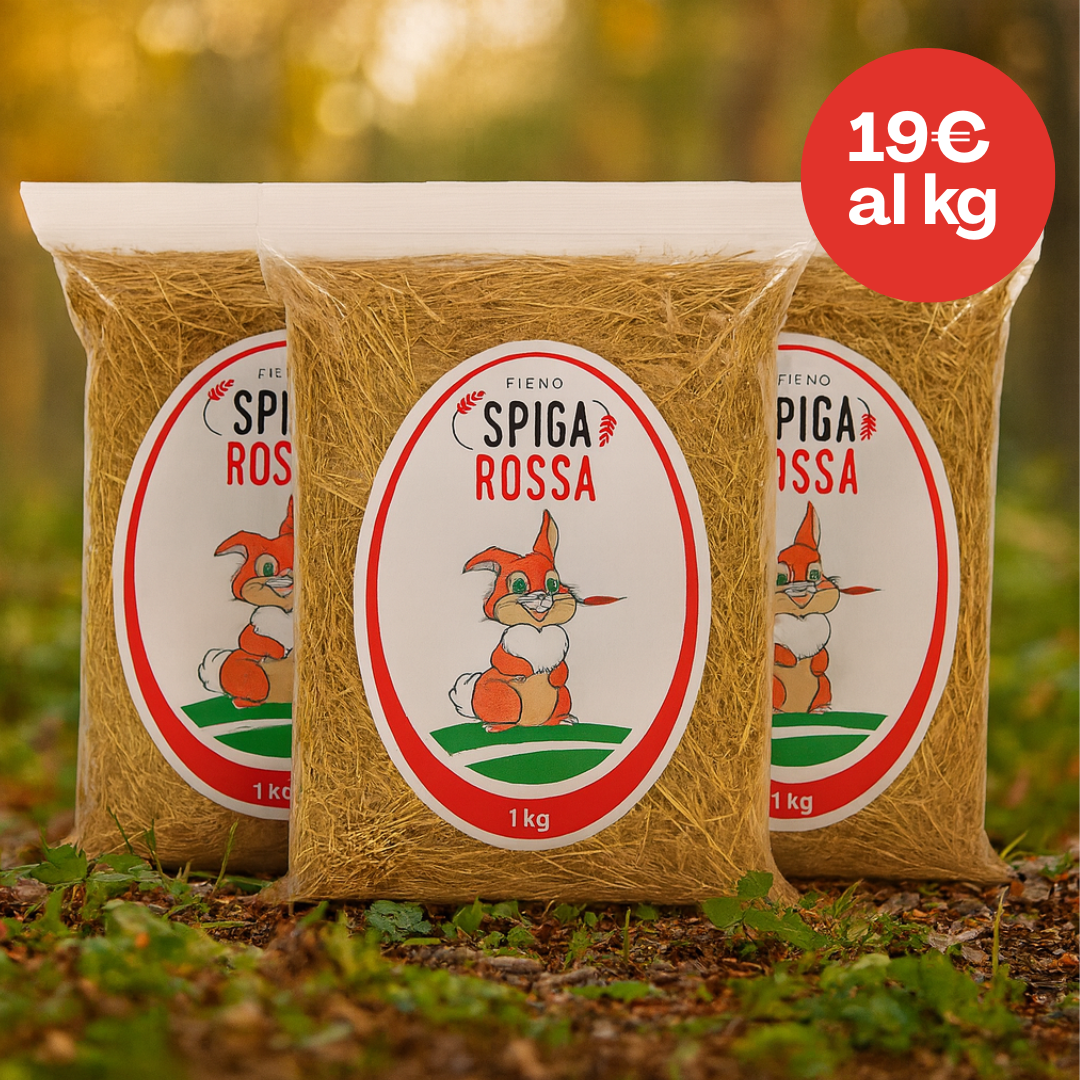 Fieno per conigli - 3 kg