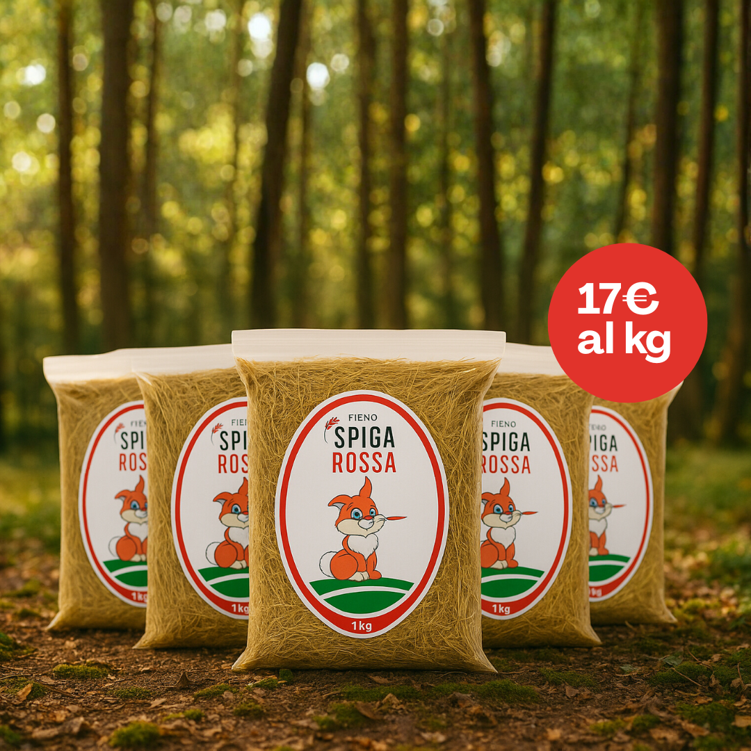 Fieno per conigli - 5 kg