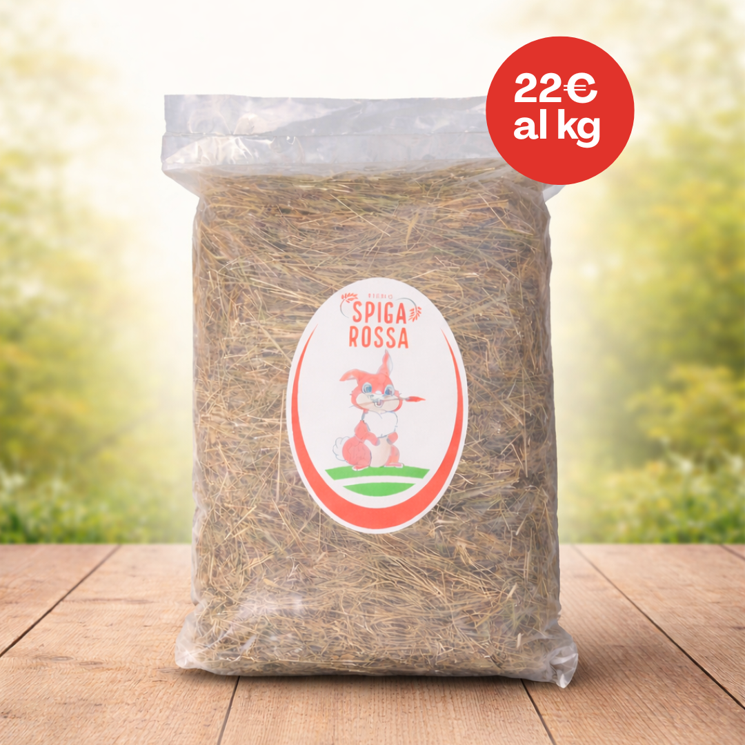 Fieno per conigli - 1 Kg