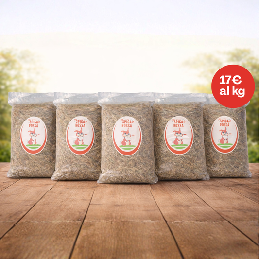 Fieno per conigli - 5 kg