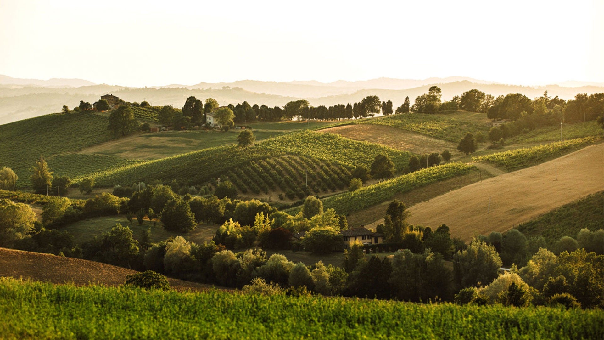 Describes the appearance of the image